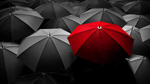 How To Build a Brand That Matters in a Saturated Market